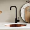 Pure.Sink Elite Steel Pure kitchen faucet Matte black PS8010-10