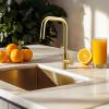 Pure.Sink Elite Steel Crystal-S kitchen faucet PVD brushed gold with pull-out spout PS8050-60